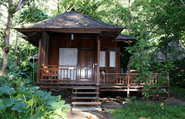 Gallery photo 1